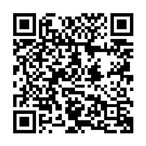 当年我炼骨族祖先无意间激活了这艘飞船中的某个智能机器人二维码生成