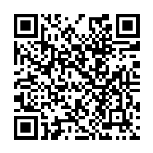 当年我跟你说我这么天赋异禀根骨清奇的习武天才二维码生成