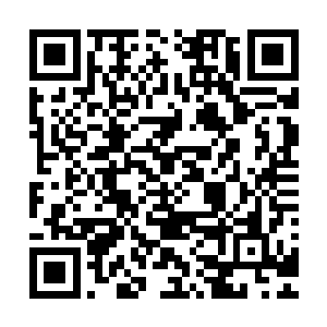 当年拒绝白二叔的提议不肯和他定下娃娃亲却看中大哥的念念二维码生成