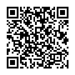 当年支持太子的那一批臣子都已经是各种位置的副手二维码生成