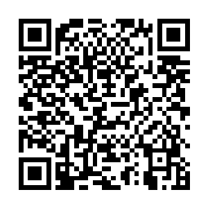 当年无论是太初灭界龙独霸万界还是帝族位居万界之主二维码生成