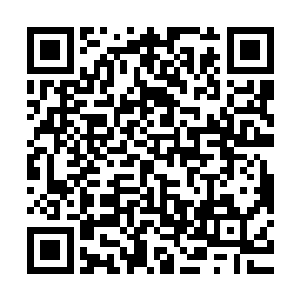 当年曾有紫莲级别的高手在万丈红尘外面袭击边缘路过的冥螳螂二维码生成