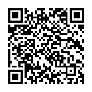 当年杨开从帝天谷中带回千叶宗失传多年的诸多秘术和典籍之后二维码生成