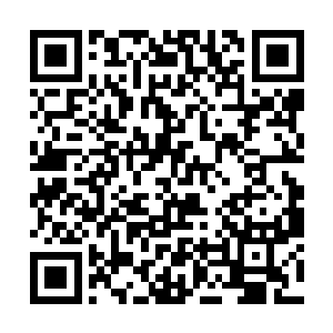 当年火修罗就是荒古死地潜修之后出来才名震天下的二维码生成