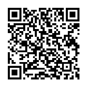 当年王妃还在楚京的时候不也见过不少的绝色么二维码生成