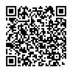 当年的连若芳也不至于汲汲营营那么多年才终于寻到杜遥作为炉鼎了二维码生成