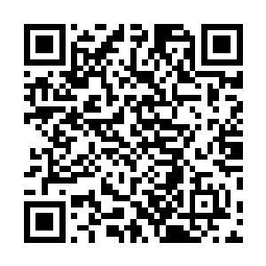 当年袁将军的母亲为了袁家留下后代不也是自愿在京为质二维码生成
