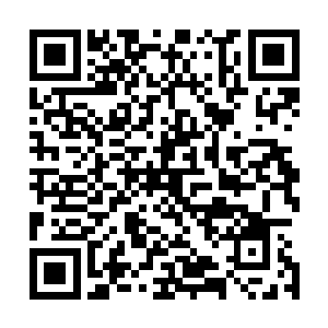 当年西瑟夕里・罗・纳什基尔大人就是这样改变自己的命运二维码生成