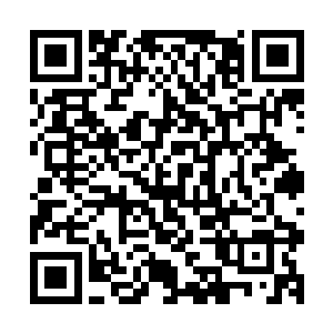 当年那个惊采绝艳的男人和曾经的焦土之王达成了怎样的协议二维码生成