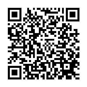 当年那些大乘期的修士想必也像此刻的摘花老鬼这般如此狼狈吧二维码生成