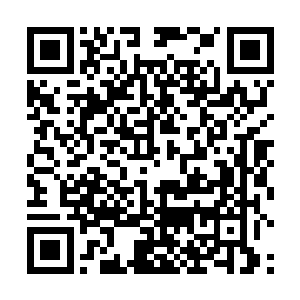 当年那些炼丹师使用的圣阳草和圣阴草都是亲自种植的二维码生成