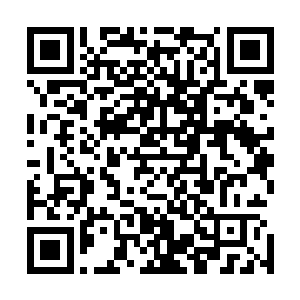 当年金龙的背叛很大一部分原因就是这头白乌鸦的摆弄是非二维码生成