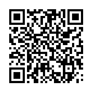 当年马文大人的祖父偷走了家族里的那件至宝二维码生成