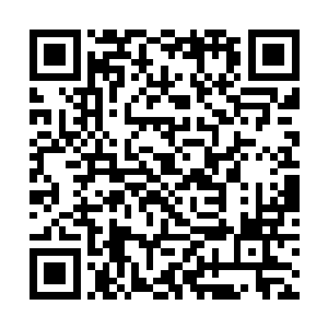 当廷尉府的干员根据一些线索追查到瀛洲刺史府之后二维码生成