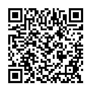 当张东城那超人的体格都感到有一丝疲惫的时候二维码生成