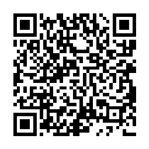 当影迷粉丝们兴奋地宣扬着这个结果……在这开战的前夕二维码生成