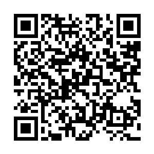 当得知能够求生的希望时毫不犹豫的出卖了自己的师门二维码生成
