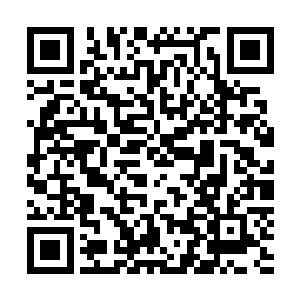 当得知自己有机会亲身与这位神秘的年轻华夏修真者见面时二维码生成