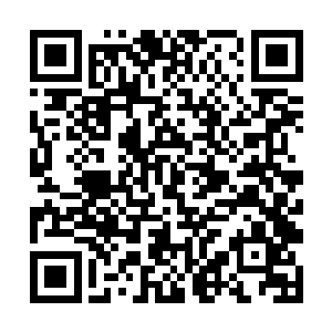 当我们听到茱莉娅公司已经解决了人工养殖的问题后二维码生成