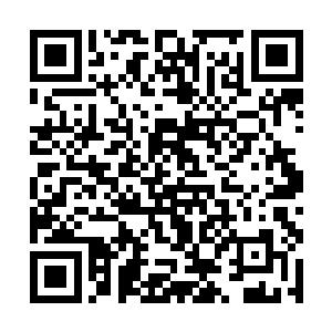 当我们抵达我甫一进入结界看到的影影绰绰房子时候二维码生成