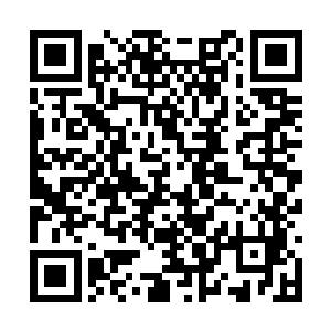 当我们抵达海岛上过后全部人几乎是已经精疲力竭二维码生成