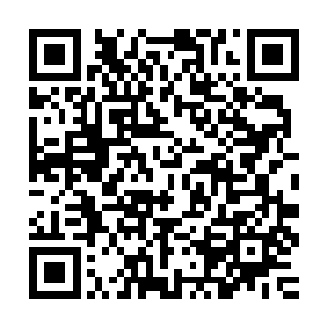 当我们盘古文明的远征军在黑墙之外和洪潮军团猝不及防地遭遇二维码生成