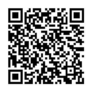 当所有人都以为两位少女会继续观察等待的时候二维码生成