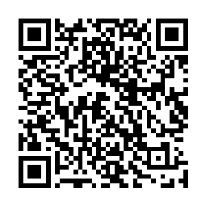 当所有人都对我投来爱慕的目光而她却始终一片澄静的时候二维码生成