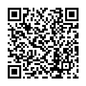 当所有看到眼前景像的人都不由的发出了一声惊叹二维码生成