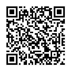 当把祝海山的生平手稿穿插进这个时空的历史进程时二维码生成