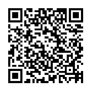 当抬头看见是五阶妖兽――秃头鹰时神色就凝重了下来二维码生成