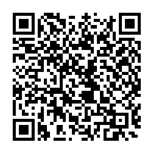 当日他可是亲眼见到杨开用一个袋子模样的秘宝收走了不少元磁神光二维码生成