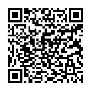 当日在对付路西法和海皇的时候他也不会那么吃力了二维码生成
