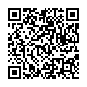 当日帝尊圣者前辈将焚天帝尊指传给我的时候曾经对我说过二维码生成