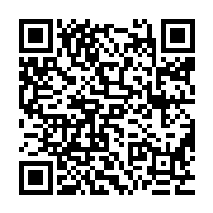 当日火烧书房也被证明是父亲故意为之企图湮灭私通逆臣的书信二维码生成