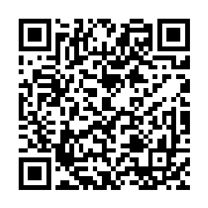 当日送过来的画像并未经过叶虞的眼就被他退了回去二维码生成