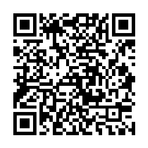 当时中环公司对女主角一角的主演是存在了很大争议的二维码生成