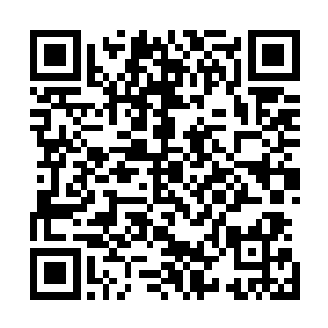 当时也不知道梓箐父母是怎么考虑的反正也很看好白慕这个二维码生成