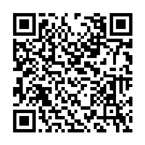 当时元明老祖便是利用这个镯子连续夺取了几人的二维码生成