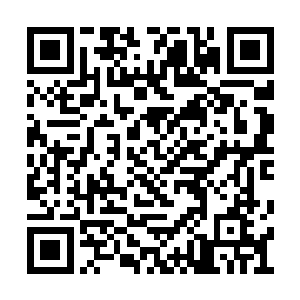 当时只觉得它当中蕴含了一丝与龙脊相似的气息二维码生成