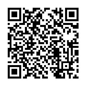 当时同住在市委大院里边的虞莱母亲对岳家很照顾二维码生成