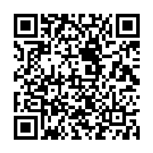 当时听跟着去的丫鬟说大姑娘是答应向家的亲事的二维码生成