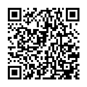 当时和我战斗的时候你不就把你父亲的名字挂在嘴边嘛二维码生成