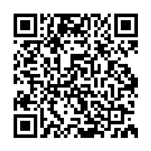 当时她还是图腾凤族内率先对楚枫求助的人之一二维码生成