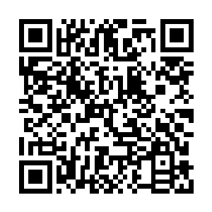 当时就跟被鬼附身了一样想也不想就将她留下了二维码生成