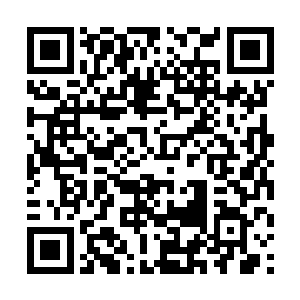 当时已经身为韩克女友的上官珊瑚提出了自己的条件二维码生成