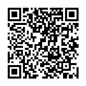 当时张铁在广场上转身过来对着格力斯一伙臭骂一通的时候二维码生成