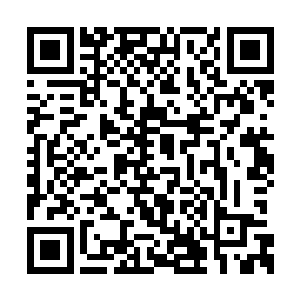 当时我们可是把我们家里的情况都告诉人贩子了二维码生成