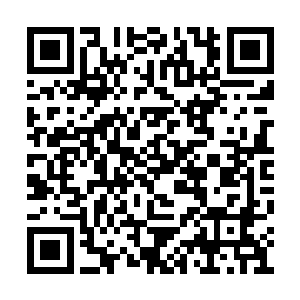 当时我看着因为风太大而皱着一张脸跑的陈念慈二维码生成