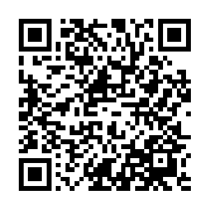 当时我竟然未能察觉出这幽冥鬼藤已经被他们做了手脚二维码生成